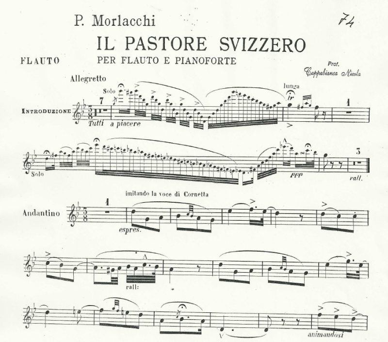 P. Morlacchi - Il Pastore Svizzero